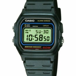 CASIO Timeless